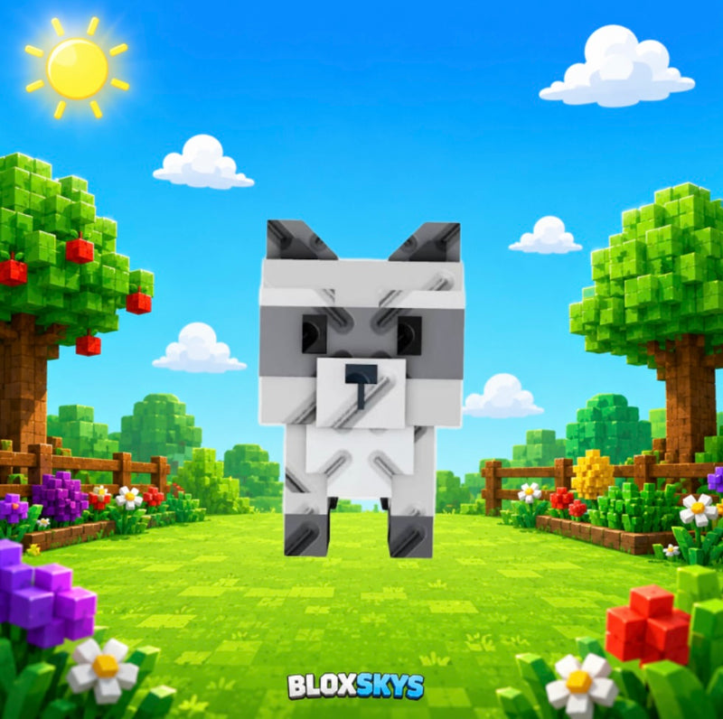 🗑️Racoon🦝